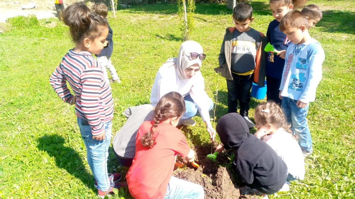Okulumuz Bahçesinde Ağaçlandırma Çalışması Yaptık